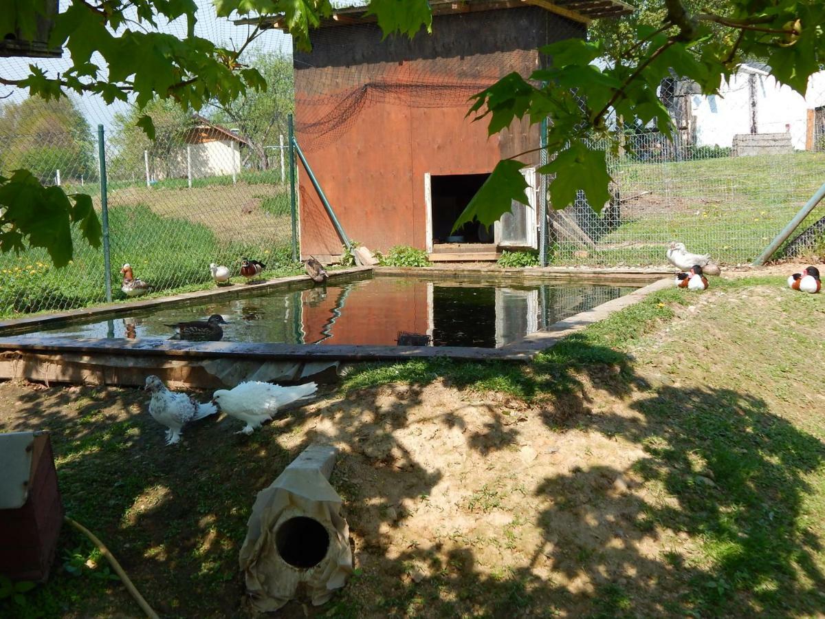 Pokoje Goscinne Ostoja Mirsk Exterior foto